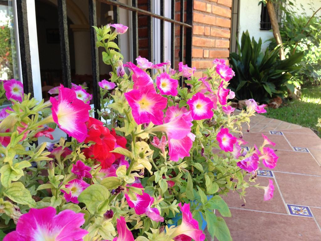 Carmen Teresa Hotel 3*